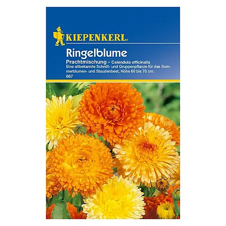 Kiepenkerl  Blumensamen Ringelblume