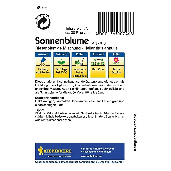 Kiepenkerl Blumensamen Sonnenblume - Riesenblumige Mischung, Helianthus annuus, Mehrfarbig - Rückansicht