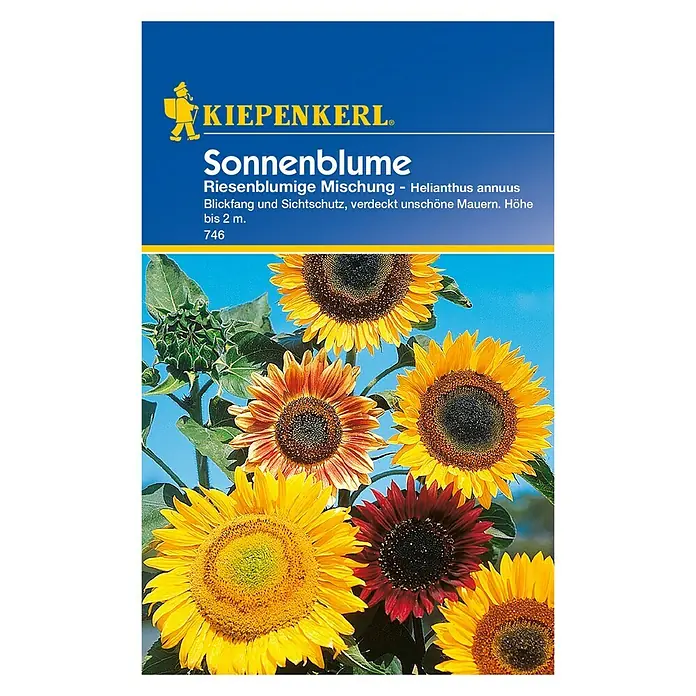 Kiepenkerl Blumensamen Sonnenblume - Riesenblumige Mischung, Helianthus annuus, Mehrfarbig - Vorderansicht