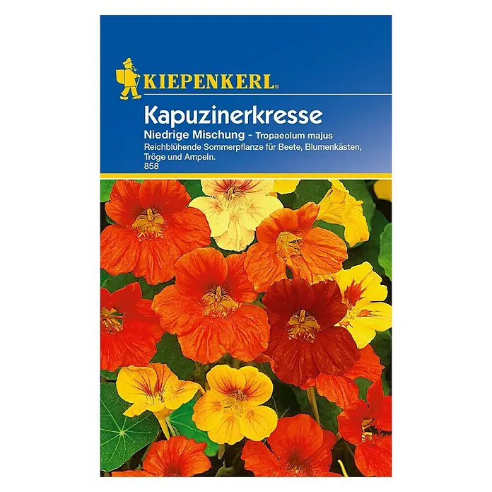 Kiepenkerl Kräutersamen Kapuzinerkresse niedrig - Tropaeolum majus, Saatzeit: April - Vorderansicht
