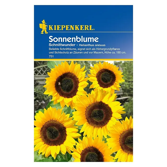 Kiepenkerl Blumensamen Sonnenblume - Schnittwunder, Helianthus annuus, Gelb - Vorderansicht