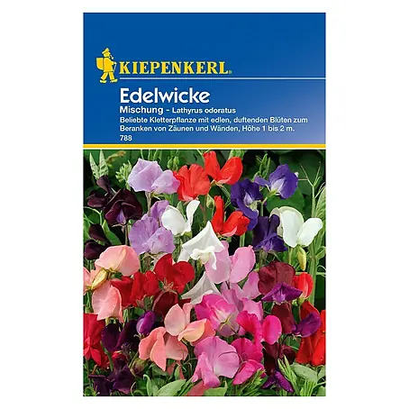 Kiepenkerl  Blumensamen Edelwicke