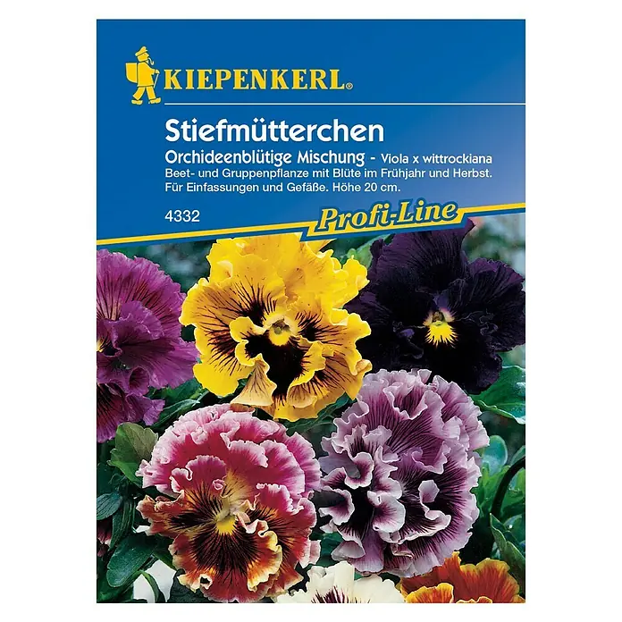 Kiepenkerl Blumensamen Stiefmütterchen Orchideenblütig - Viola x wittrockiana, Mehrfarbig - Vorderansicht