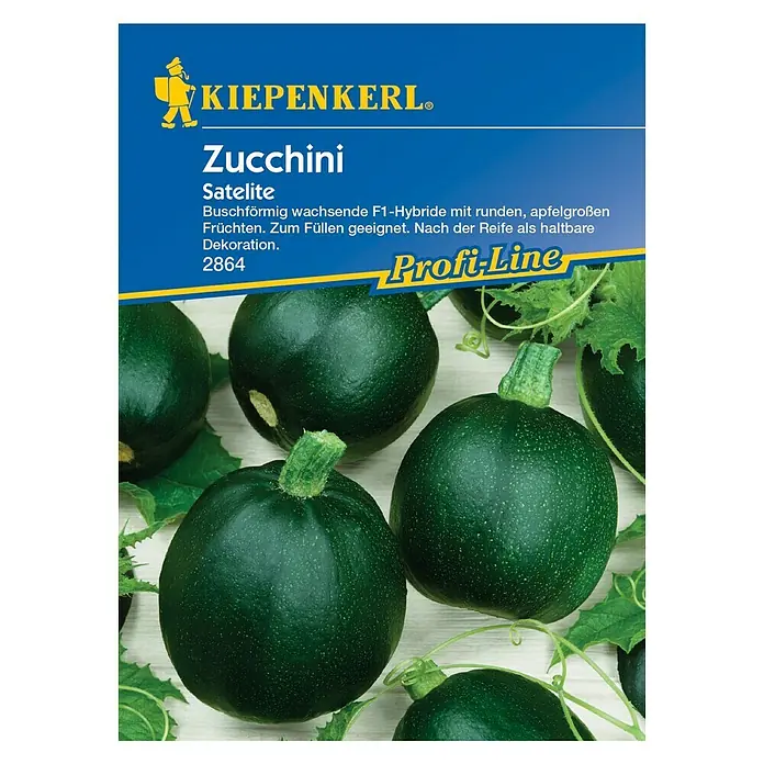 Kiepenkerl Profi-Line Gemüsesamen Zucchini - Satelite F1, Cucurbita pepo, Erntezeit: Juli - Vorderansicht