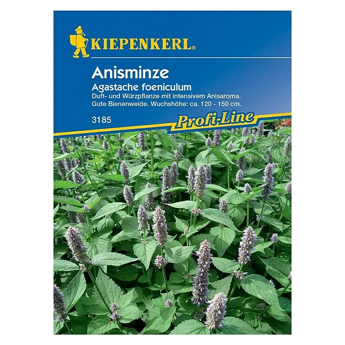 Kiepenkerl Profi-Line Kräutersamen Anisminze - Agastache foeniculum, Erntezeit: Mai - Vorderansicht