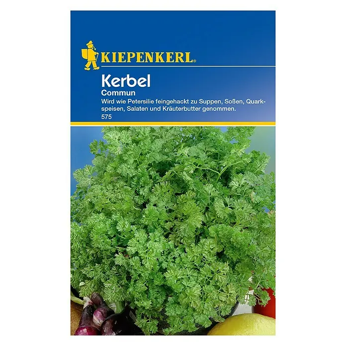 Kiepenkerl Kräutersamen Kerbel - Anthriscus cerefolium, Saatzeit: März, Erntezeit: Mai - Vorderansicht
