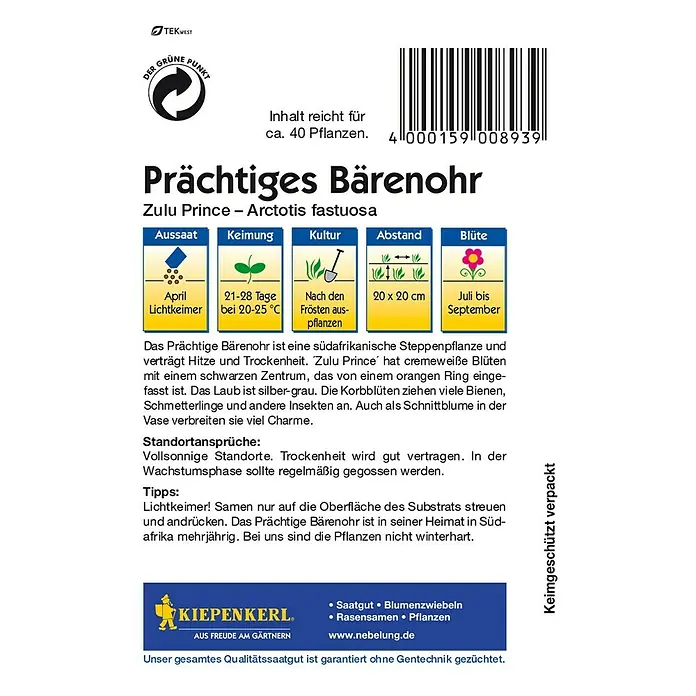 Kiepenkerl Blumensamen Bärenohr - Arctotis fastuosa, Weiß - Rückansicht