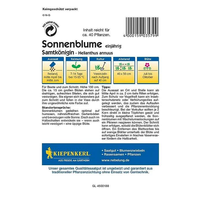 Kiepenkerl Blumensamen Sonnenblume - Helianthus annuus, Samtkönigin, Blütezeit: Juli - Rückansicht