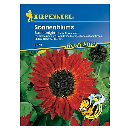 Kiepenkerl  Blumensamen Sonnenblume