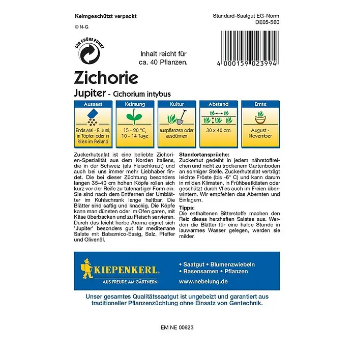 Kiepenkerl Profi-Line Salatsamen Zichorie Jupiter - Cichorium intybus, Erntezeit: August - Rückansicht