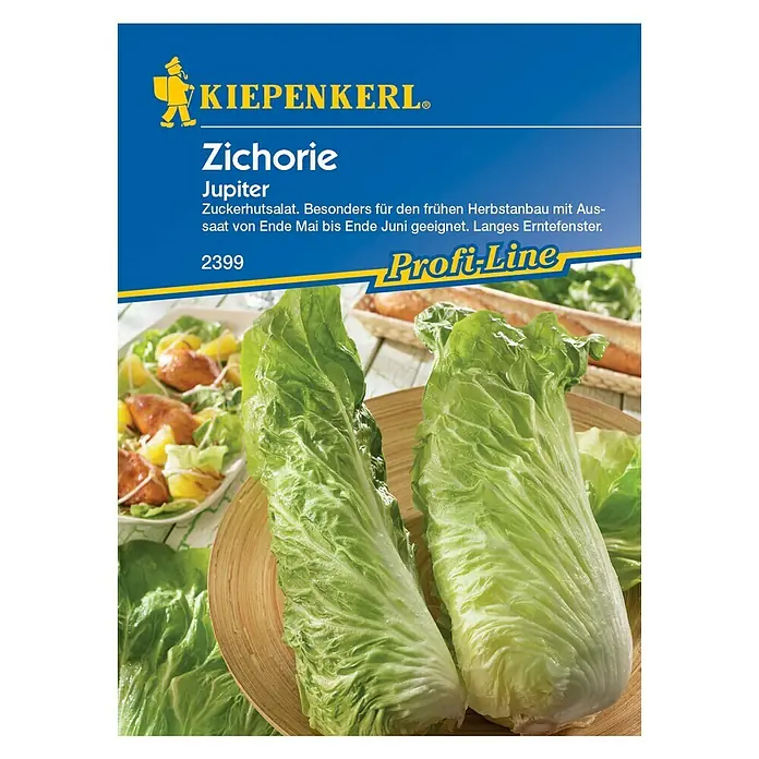 Kiepenkerl Profi-Line Salatsamen Zichorie Jupiter - Cichorium intybus, Erntezeit: August - Vorderansicht
