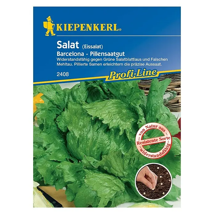 Kiepenkerl Profi-Line Salatsamen Eissalat - Lactuca sativa, Erntezeit: Juni - Vorderansicht