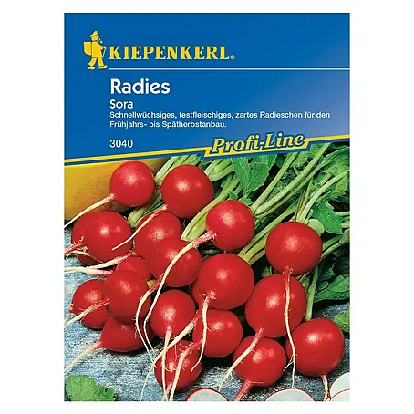 Kiepenkerl Profi-Line Gemüsesamen Radieschen