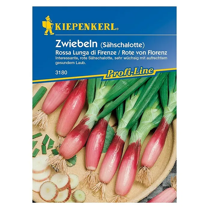 Kiepenkerl Profi-Line Gemüsesamen Lauchzwiebel Rote von Florenz - Allium cepa, Erntezeit: Juli - Vorderansicht