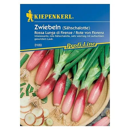 Kiepenkerl Profi-Line Gemüsesamen Lauchzwiebel Rote von Florenz