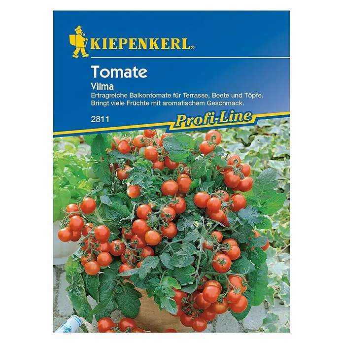 Kiepenkerl Profi-Line Gemüsesamen Tomate - Vilma, Solanum lycopersicum, Erntezeit: Juli - Vorderansicht