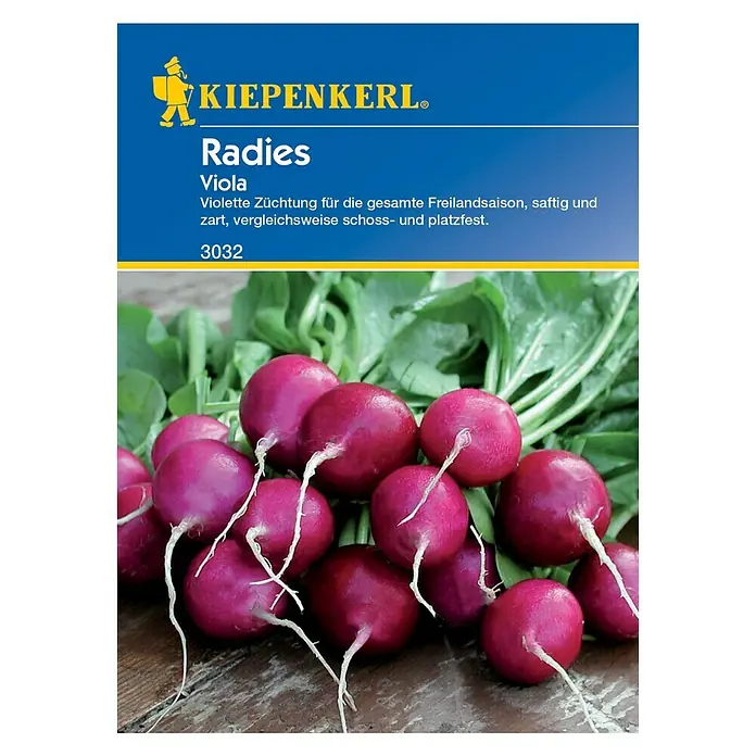 Kiepenkerl Gemüsesamen Radieschen - Viola, Raphanus sativus var. sativus, Erntezeit: April - Vorderansicht