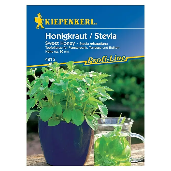 Kräutersamen Honigkraut - Stevia rebaudiana - Vorderansicht