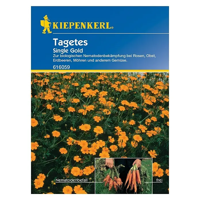 Kiepenkerl Gründüngung - Tagetes (Nematodenbekämpfung), Tagetes patula, 5 m² - 7 m² - Vorderansicht