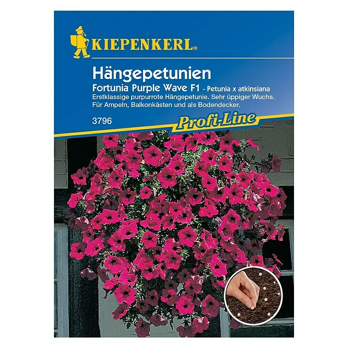 Kiepenkerl Blumensamen Hängepetunie - Petunia x atkinsiana, Pink - Vorderansicht