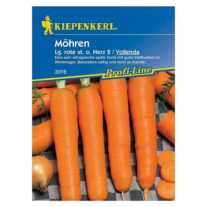 Kiepenkerl Profi-Line Gemüsesamen Möhre - Vollenda, Daucus carota ssp. sativus, Erntezeit: August - Vorderansicht