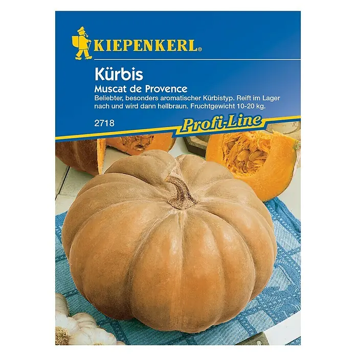 Kiepenkerl Profi-Line Gemüsesamen Kürbis - Muscat de Provence, Cucurbita maxima, Erntezeit: September - Vorderansicht