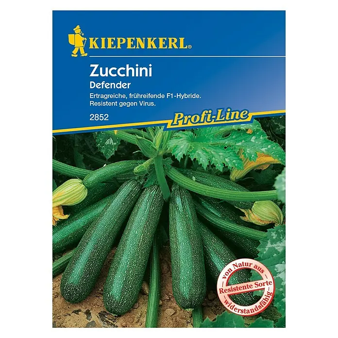Kiepenkerl Profi-Line Gemüsesamen Zucchini - Defender F1, Cucurbita pepo, Erntezeit: Juli - Vorderansicht