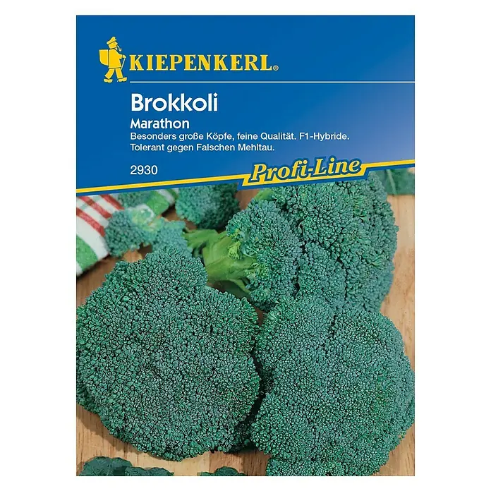 Kiepenkerl Profi-Line Gemüsesamen Brokkoli Marathon - Brassica oleracea var. italica, Erntezeit: Juli - Vorderansicht