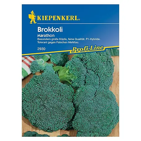Kiepenkerl Profi-Line Gemüsesamen Brokkoli Marathon