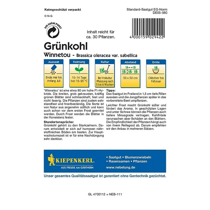 Kiepenkerl Profi-Line Gemüsesamen Grünkohl Winnetou - Brassica oleracea var. sabellica, Erntezeit: Oktober - Rückansicht
