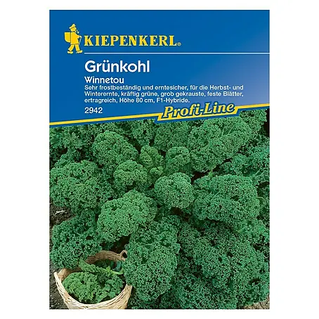 Kiepenkerl Profi-Line Gemüsesamen Grünkohl Winnetou