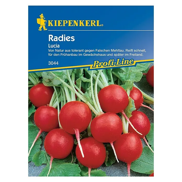 Kiepenkerl Profi-Line Gemüsesamen Radieschen - Lucia F1, Raphanus sativus var. sativus, Erntezeit: April - Vorderansicht