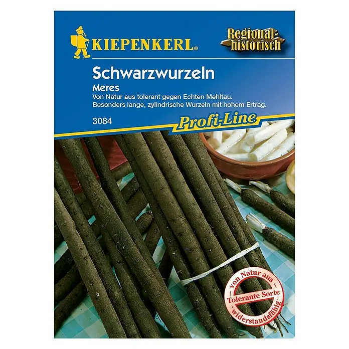 Kiepenkerl Profi-Line Gemüsesamen Schwarzwurzel - Scorzonera hispanica, Erntezeit: Oktober - Vorderansicht