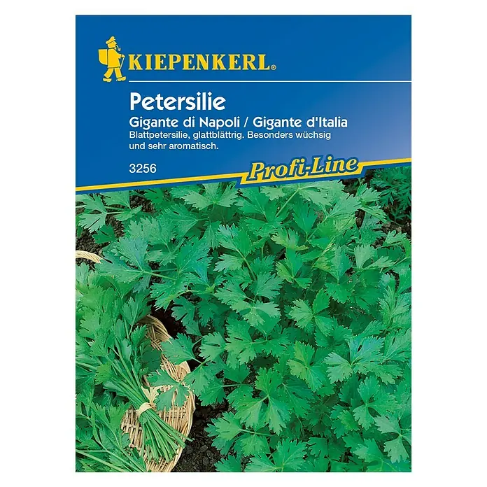Kiepenkerl Profi-Line Kräutersamen Petersilie - Gigante di Napoli, Petroselinum crispum var. neapolitanum, Saatzeit: März, Erntezeit: Juni - Vorderansicht