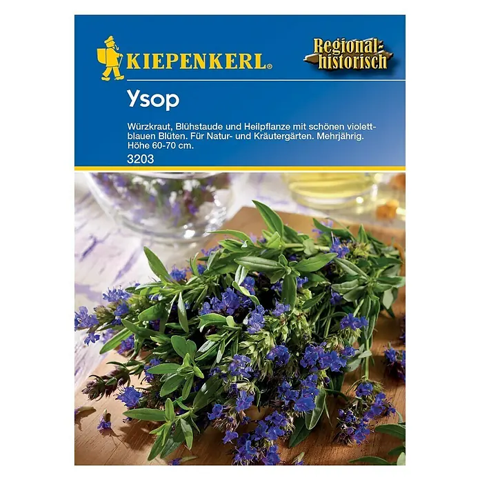 Kiepenkerl Kräutersamen Ysop - Hyssopus officinalis, Saatzeit: April, Erntezeit: Mai - Vorderansicht