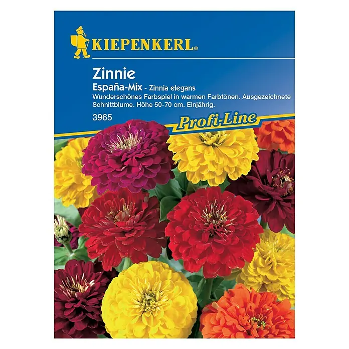 Kiepenkerl Profi-Line Blumensamen Zinnie - Zinnia elegans, España Mix - Vorderansicht