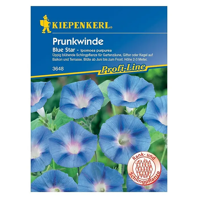 Kiepenkerl Profi-Line Blumensamen Prunkwinde - Ipomoea purpurea, Blue Star, Blütezeit: Juni - Vorderansicht