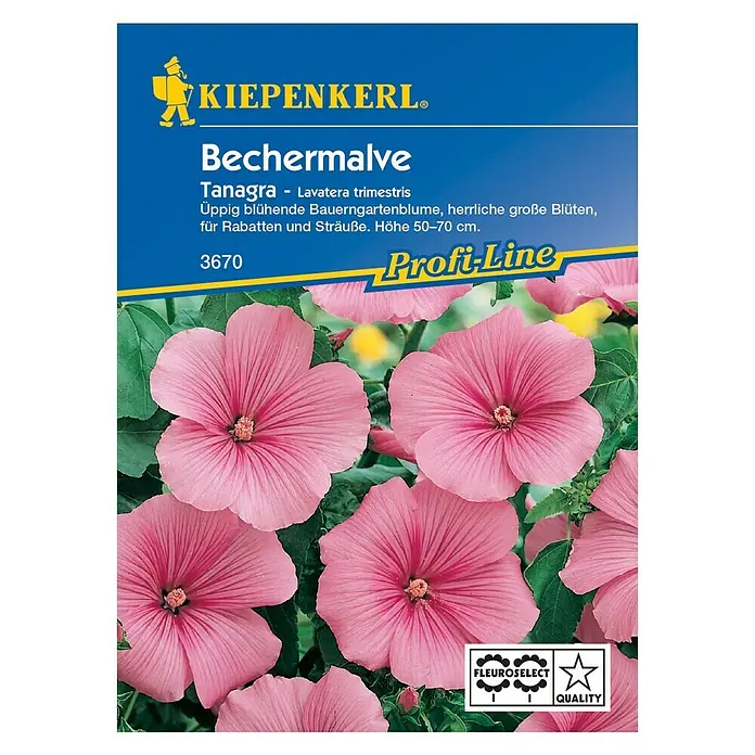 Kiepenkerl Profi-Line Blumensamen Bechermalve Tangara Pink - Lavatera trimestris, Rose - Vorderansicht