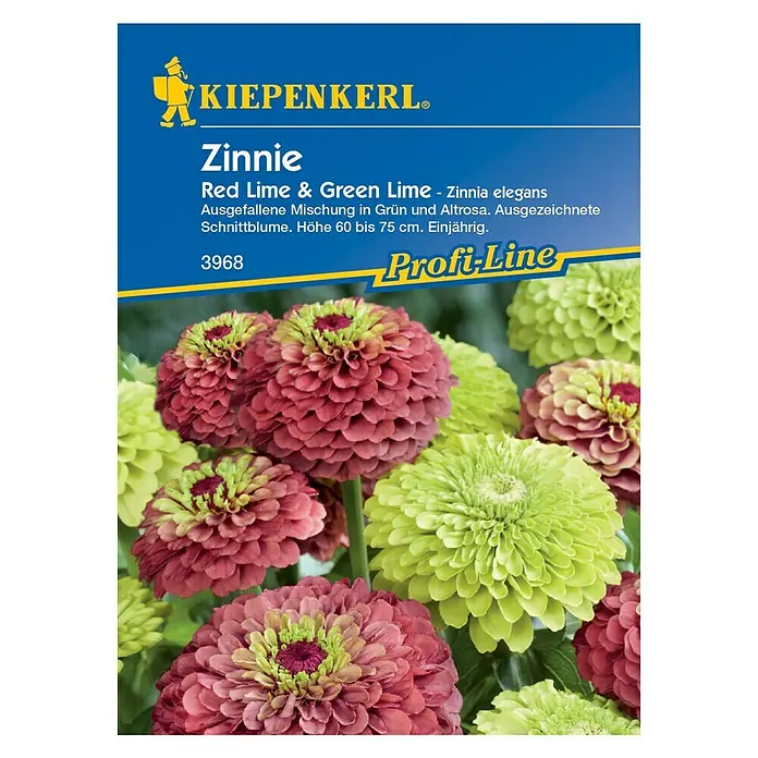 Kiepenkerl Profi-Line Blumensamen Zinnie - Zinnia elegans, Red Lime/Green Lime - Vorderansicht