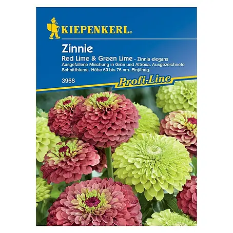 Kiepenkerl Profi-Line Blumensamen Zinnie
