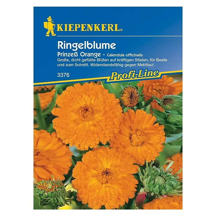 Kiepenkerl Profi-Line Blumensamen Ringelblume - Calendula officinalis, Prinzeß Orange, Blütezeit: Juni - Vorderansicht