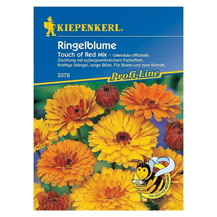 Kiepenkerl Profi-Line Blumensamen Ringelblume - Calendula officinalis, Touch of Red Mix, Blütezeit: Juni - Vorderansicht