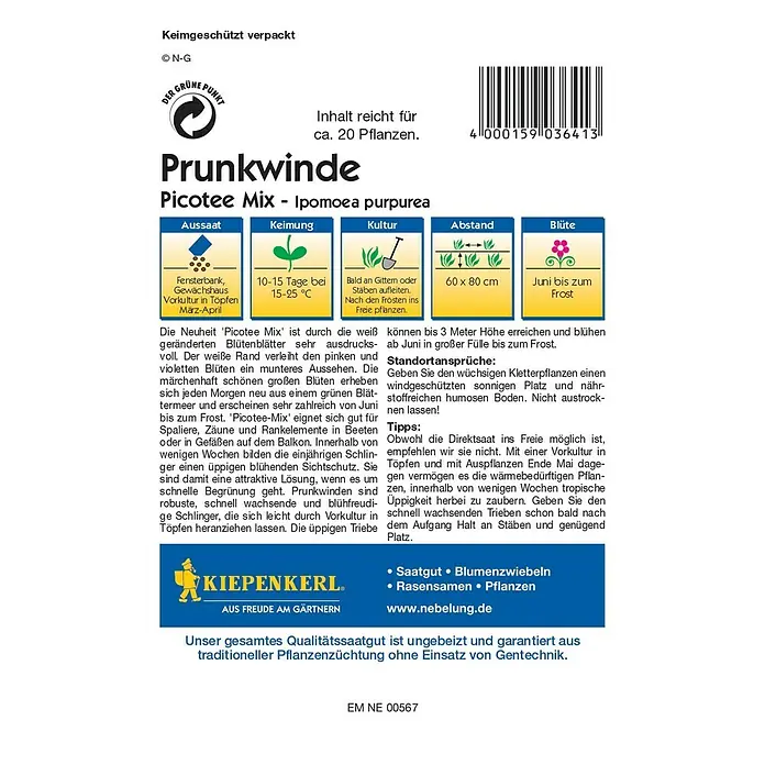Kiepenkerl Profi-Line Blumensamen Prunkwinde - Ipomoea purpurea, Picotee Mix, Blütezeit: Juni - Rückansicht