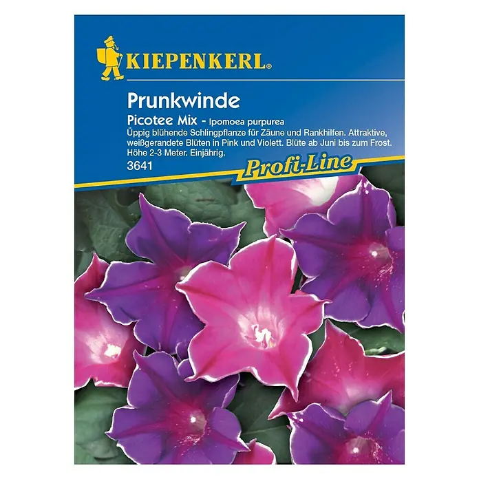 Kiepenkerl Profi-Line Blumensamen Prunkwinde - Ipomoea purpurea, Picotee Mix, Blütezeit: Juni - Vorderansicht