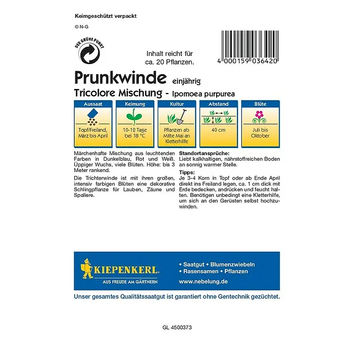 Kiepenkerl Profi-Line Blumensamen Prunkwinde - Ipomoea purpurea, Tricolore Mischung, Blütezeit: Juli - Rückansicht