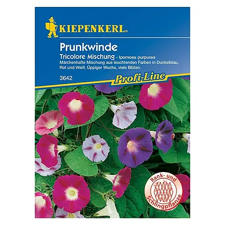 Kiepenkerl Profi-Line Blumensamen Prunkwinde