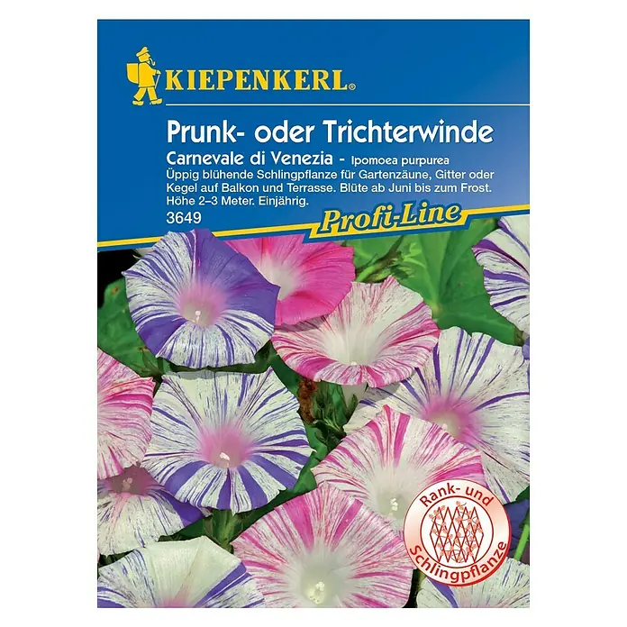Kiepenkerl Profi-Line Blumensamen Trichterwinde - Ipomoea purpurea, Mehrfarbig - Vorderansicht
