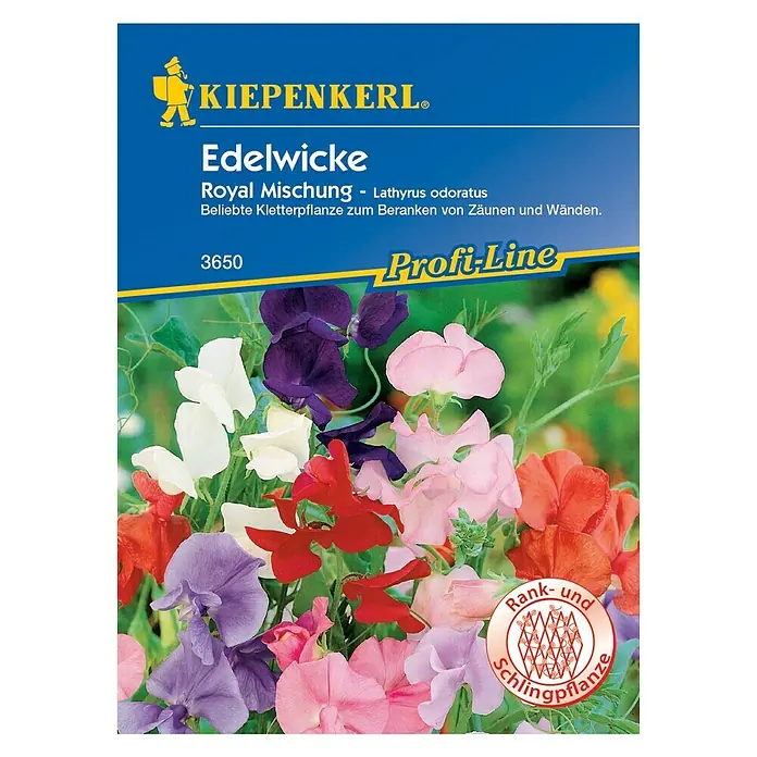 Kiepenkerl Blumensamen Edelwicke Royale Mischung - Lathyrus odoratus, Mehrfarbig - Vorderansicht