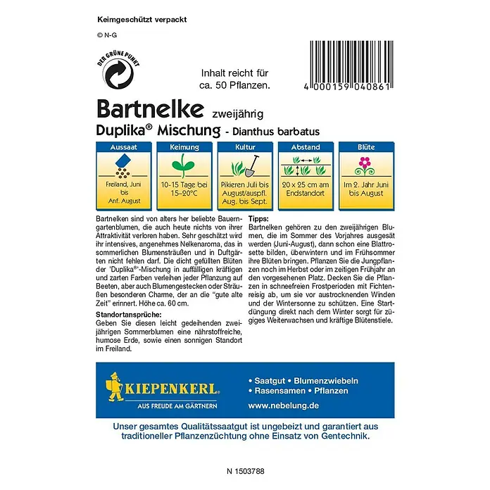 Kiepenkerl Blumensamen Bartnelke - Duplika Mischung, Dianthus barbatus, Mehrfarbig - Rückansicht