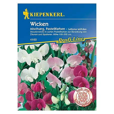 Kiepenkerl  Blumensamen Staudenwicke